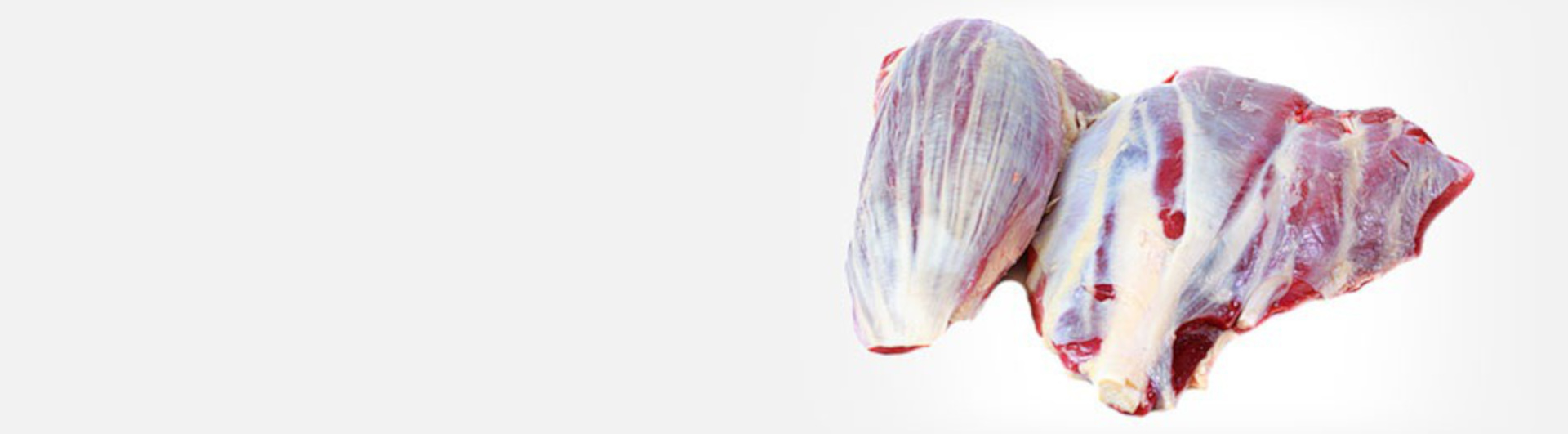 Welcome to SAMCOM®AS !